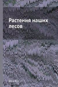 Rasteniya nashih lesov