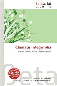 Clematis Integrifolia