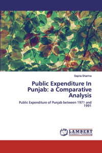Public Expenditure In Punjab