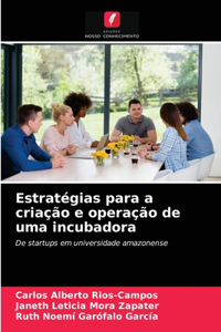 Estratégias para a criação e operação de uma incubadora
