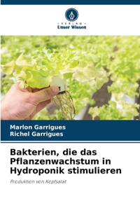 Bakterien, die das Pflanzenwachstum in Hydroponik stimulieren