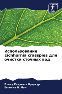 Использование Eichhornia crasspies для очистки сточных во