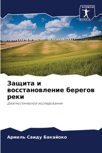 Защита и восстановление берегов реки