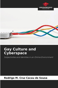 Gay Culture and Cyberspace