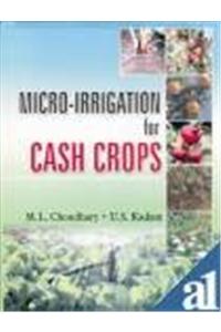 Micro-Irrigation For Cash Crops