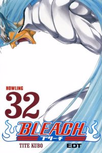 Bleach 32