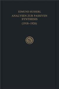 Analysen Zur Passiven Synthesis