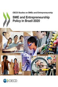 SME and Entrepreneurship Policy in Brazil 2020