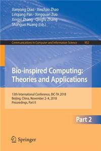 Bio-Inspired Computing: Theories and Applications