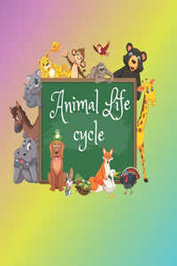 Animal life cycle
