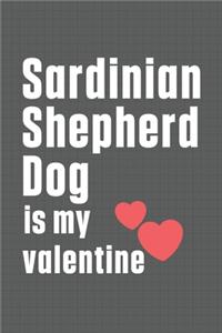 Sardinian Shepherd Dog is my valentine