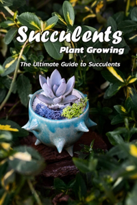 Succulents Plant Growing