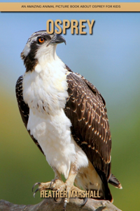 Osprey: An Amazing Animal Picture Book about Osprey for Kids