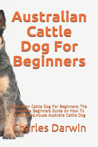 Australian Cattle Dog For Beginners