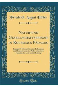Natur-und Gesellschaftsprinzip in Rousseaus Pädagog: Inaugural-Dissertation zur Erlangung der Doktorwürde der Philosophischen Fakultät der Universität Leipzig (Classic Reprint)