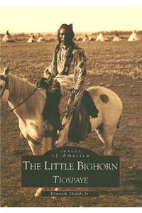 The Little Bighorn