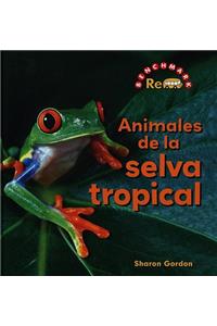 Animales de la Selva Tropical (Rain Forest Animals)