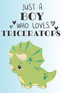 Just A Boy Who Loves Triceratops