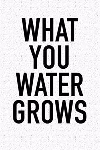 What You Water Grows