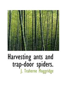 Harvesting Ants and Trap-Door Spiders.