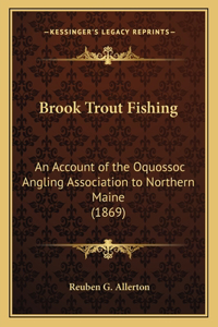 Brook Trout Fishing