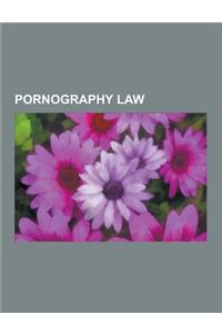 Pornography Law: Adult Film Industry Regulations, American Booksellers V. Hudnut, Antipornography Civil Rights Ordinance, Bill Against