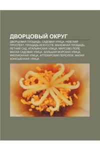 Dvortsovyi Okrug