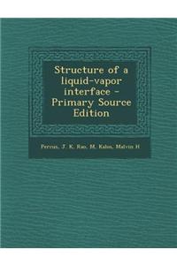 Structure of a Liquid-Vapor Interface - Primary Source Edition