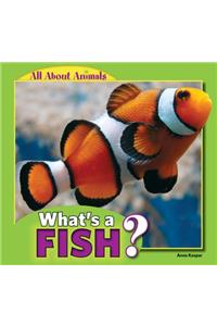 What's a Fish?