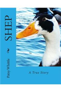Shep: A True Story