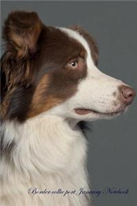 Border collie port January Notebook Border collie port Record, Log, Diary, Special Memories, To Do List, Academic Notepad, Scrapbook & More