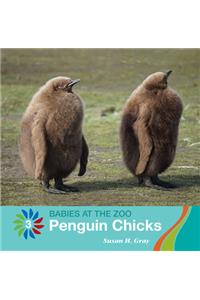 Penguin Chicks