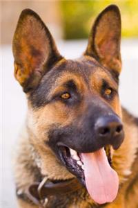 Beautiful German Shepherd Dog Journal