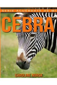 Cebra