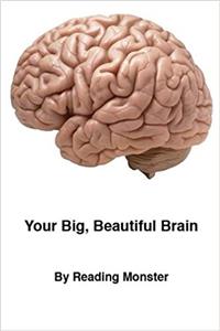 Your Big, Beautiful Brain