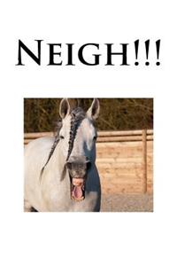 Neigh!!!