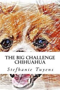 Big Challenge Chihuahua