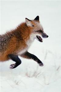 Red Fox Run Journal