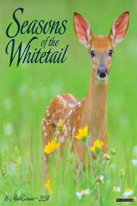 Seasons of the Whitetail 2024 12 X 12 Wall Calendar
