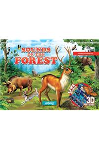 Sounds of the Forest