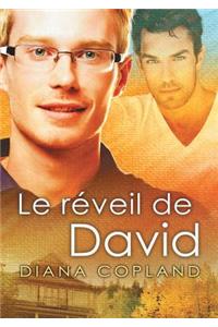 Le Réveil de David (Translation)