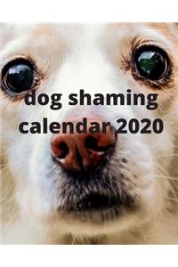 dog shaming Calendar 2020