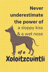 Never underestimate the power of a sloppy kiss & a wet nose of a Xoloitzcuintli