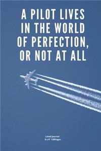 A pilot lives in the world of perfection, or not at all