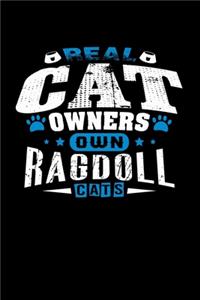 Real Cat Owners Own Ragdoll Cats