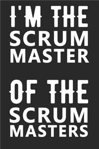 Scrum Master of Scrum Masters