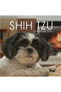 Shih Tzu Calendar 2020