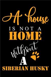 A House Is Not A Home Without A Siberian Husky
