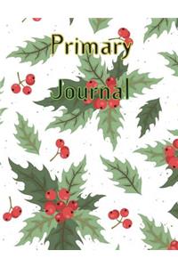 Primary Journal