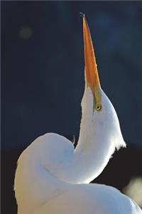 Profile of a Beautiful Great Egret Journal